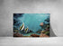 angel fish original painting wall art print
